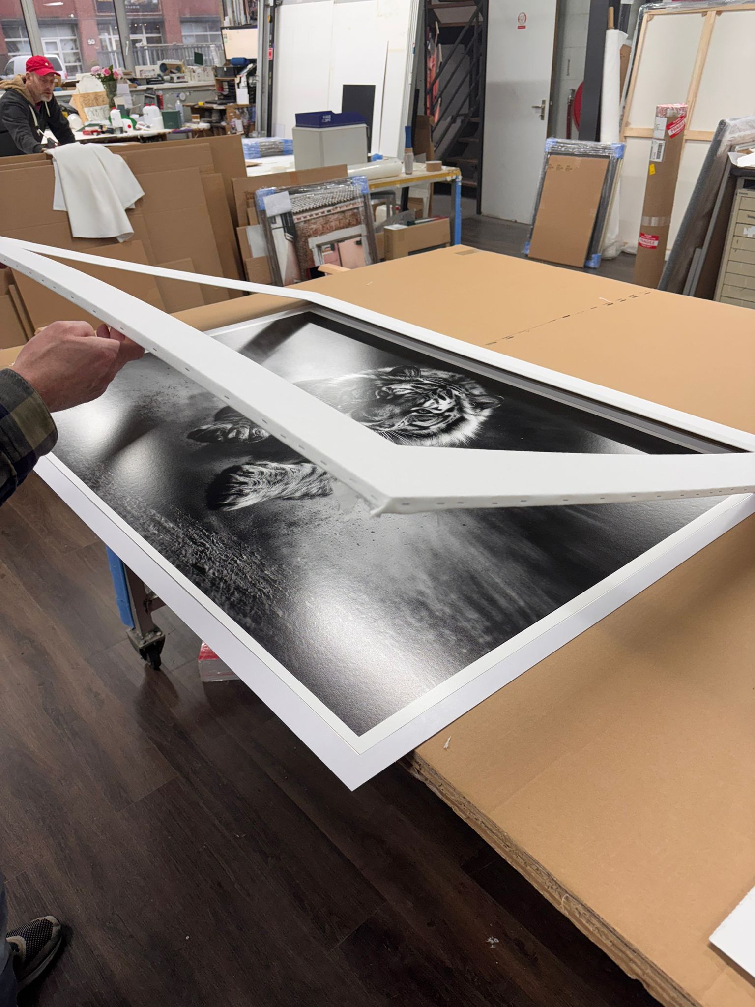 Archival monochrome tiger print being prepared for mounting